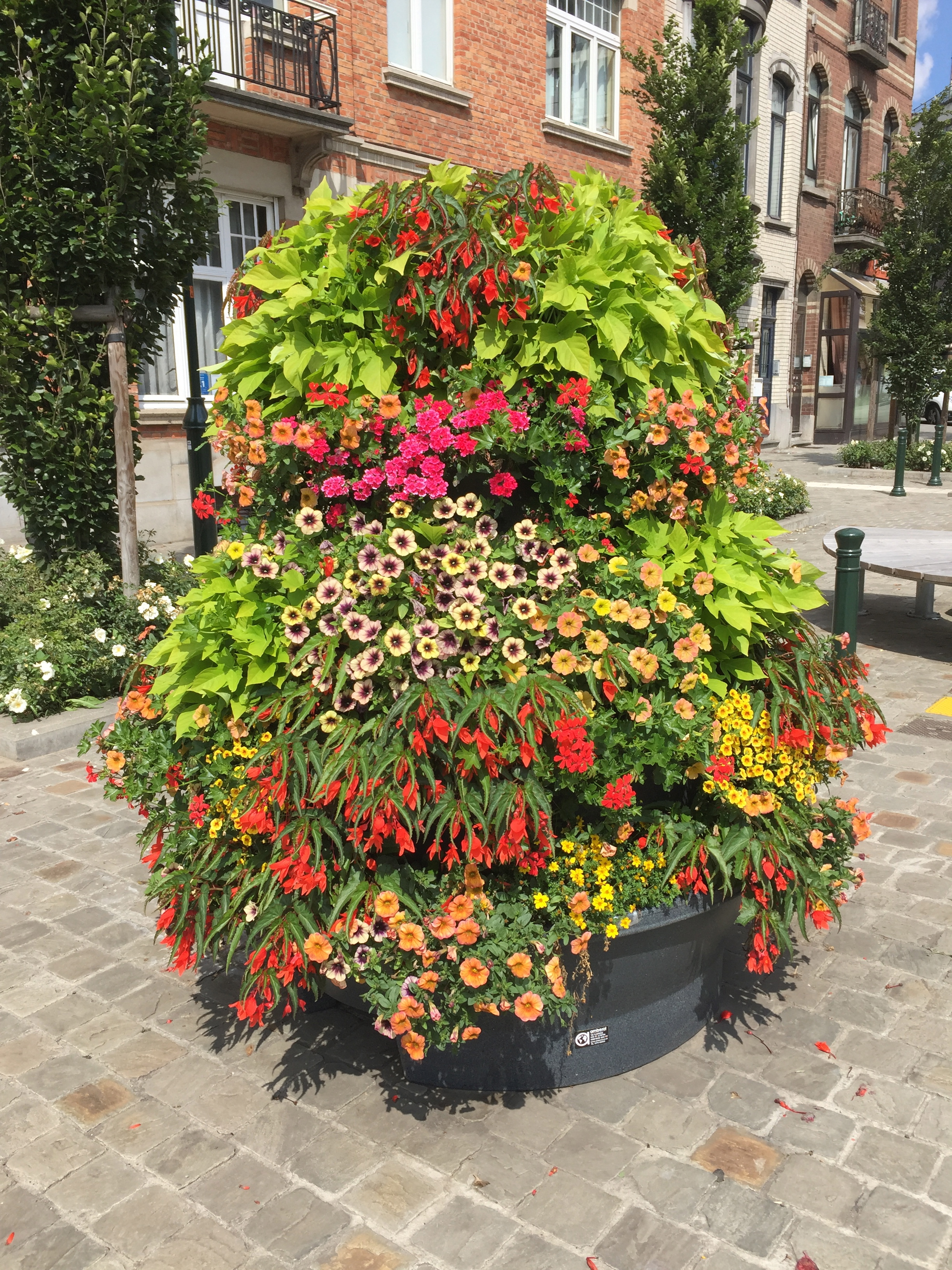 Not long left to enter our photo competition