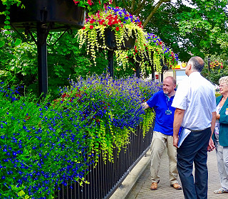 2020 Britain in Bloom competition cancelled