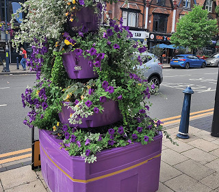 Amberol at the Commonwealth Games