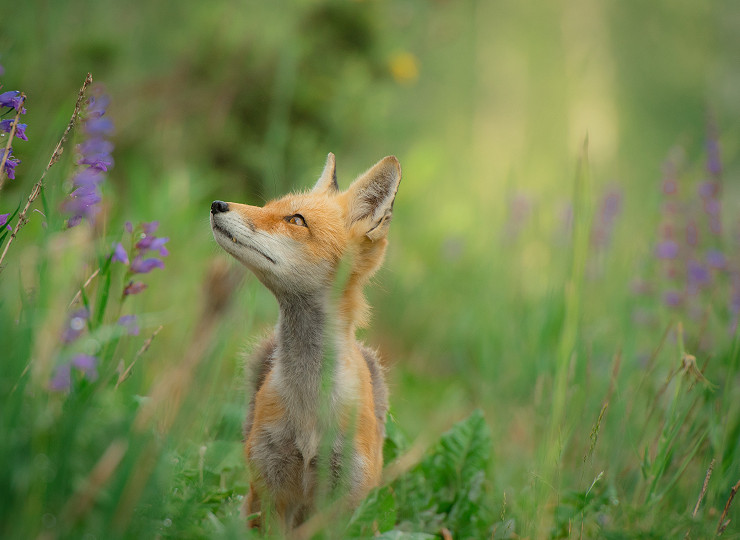 A message for our friends