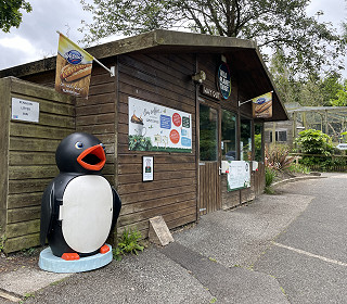 Looking for a solution to summer litter?