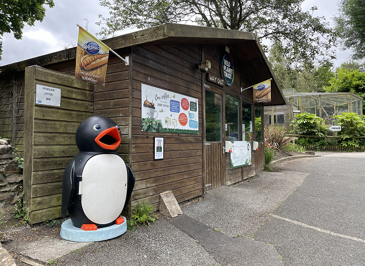 Looking for a solution to summer litter?