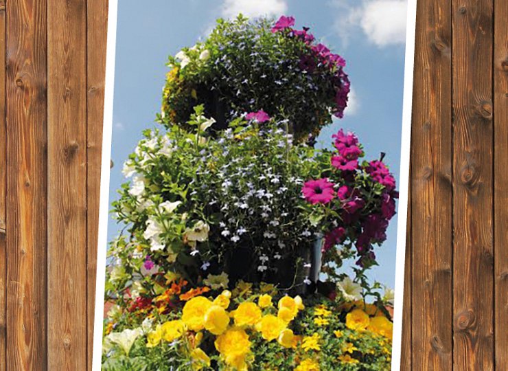 Have you entered the annual Amberol photo competition yet?