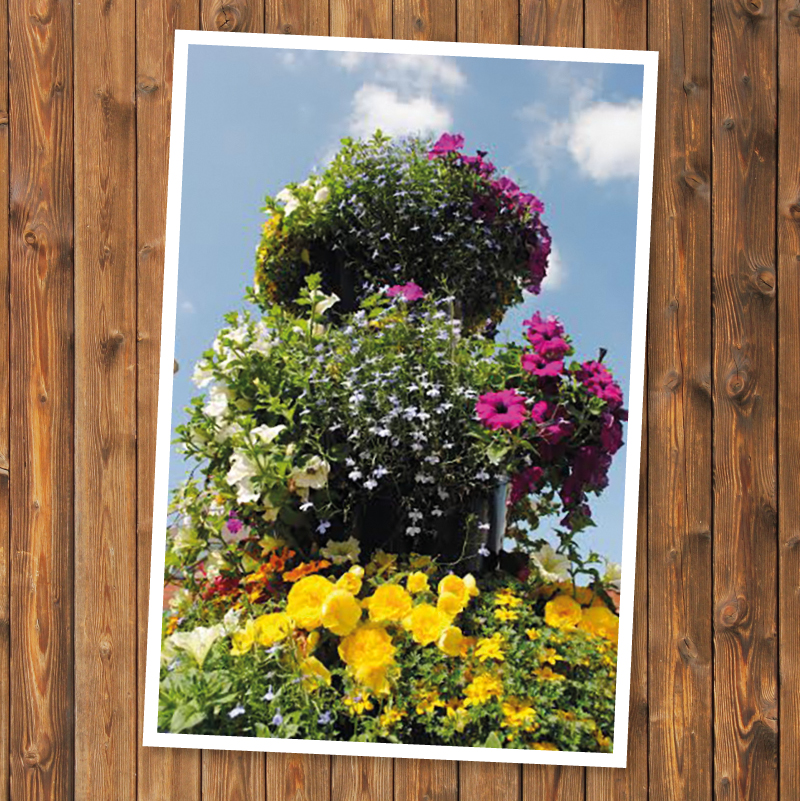 Have you entered the annual Amberol photo competition yet?