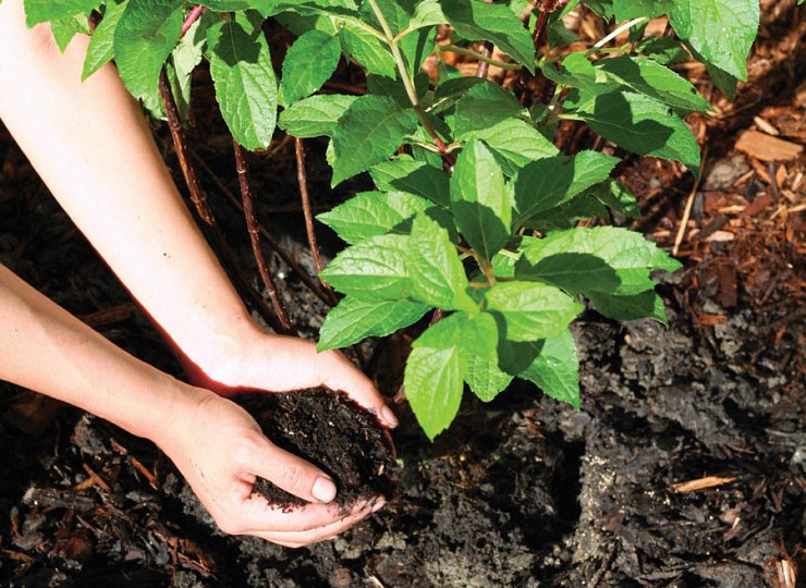 RHS commits funds to raise standing of gardeners and groundspeople