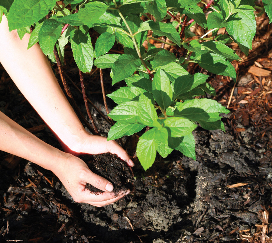 RHS commits funds to raise standing of gardeners and groundspeople