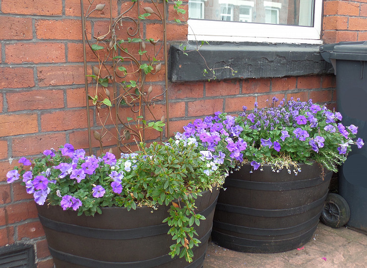 Amberol support RHS research into link between gardening and wellbeing