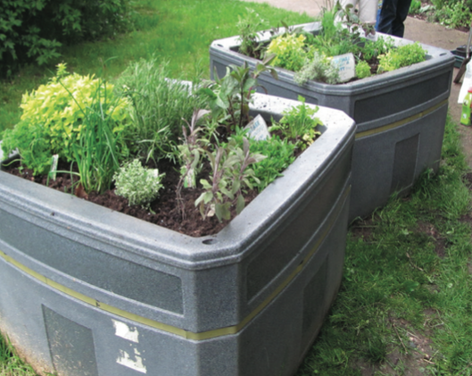Amberol’s self-watering containers ‘invaluable’ for Britain in Bloom say Blooming Milford