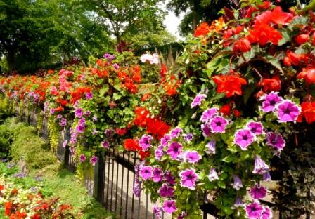 Free Amberol wall planner available now