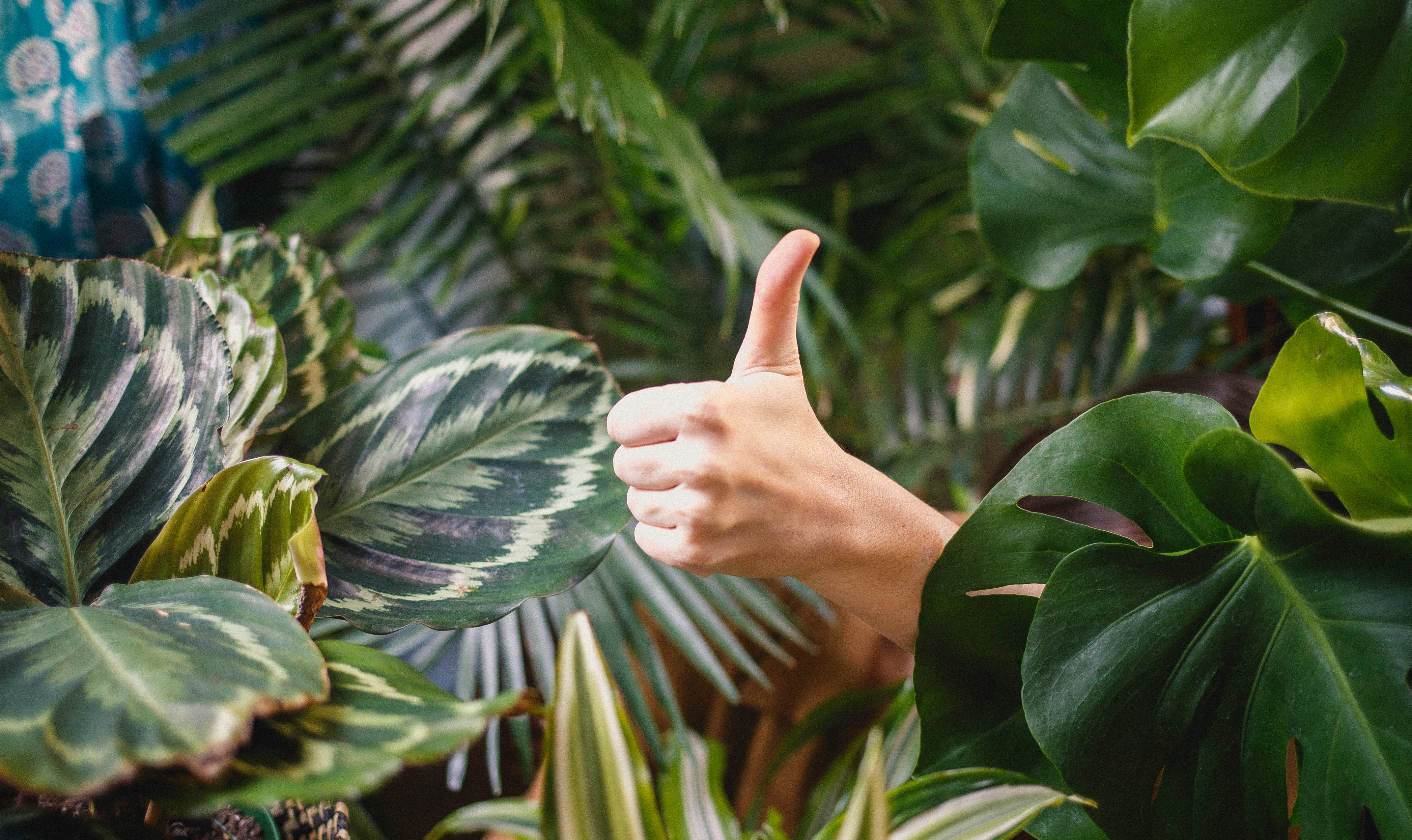 96% of customers recommend Amberol’s products in annual survey