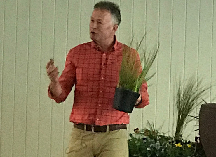 Toby Buckland’s top tips for creating beautiful planters