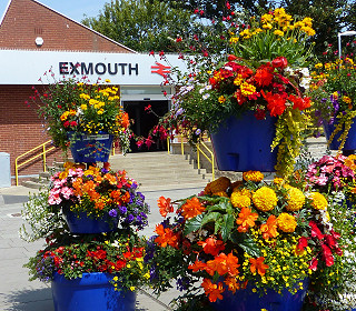 Can your local economy benefit from Britain in Bloom?
