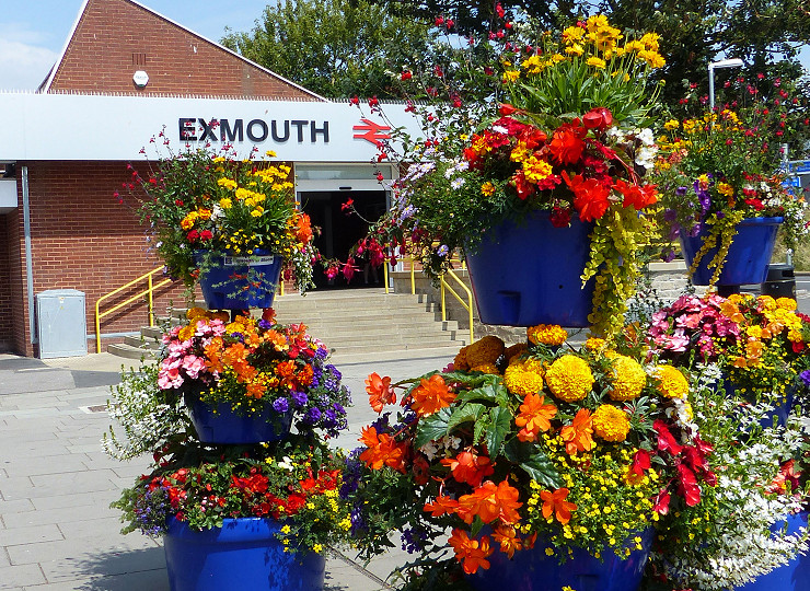 Can your local economy benefit from Britain in Bloom?