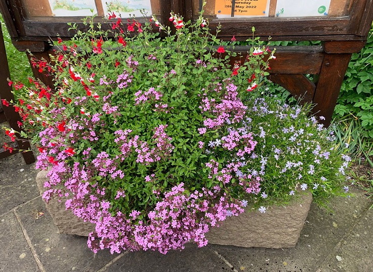 Put an Amberol self-watering planter on your Christmas shopping list