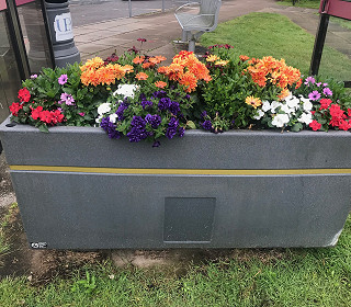 Self-watering planters a social distancing solution after driest May on record
