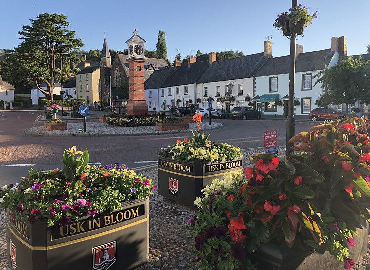 Usk in Bloom takes on the world