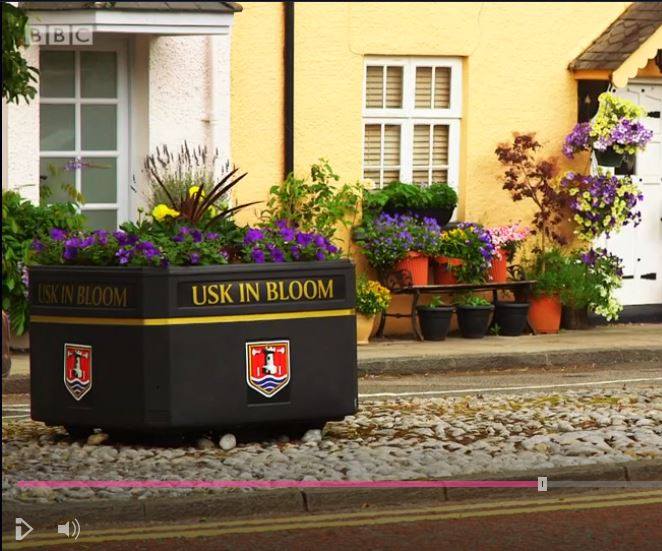 Britain in Bloom on the BBC