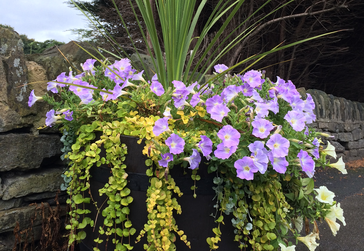 Getting ready for autumn with Amberol