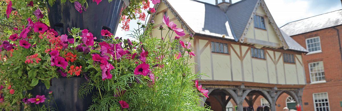 Amberol The nation's leading supplier of quality self-watering planters