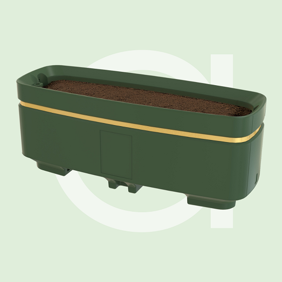 AmberVeil Plnater in Green with Gold BandingAmberVeil Planter