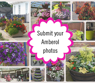 Amberol photo competition update: now open until 31 December 2026