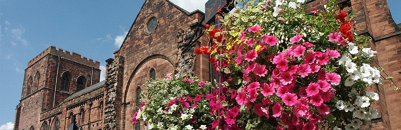Hanging Baskets