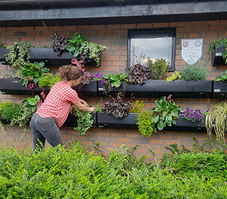 Prize value in Amberol’s photo competition increases to £300