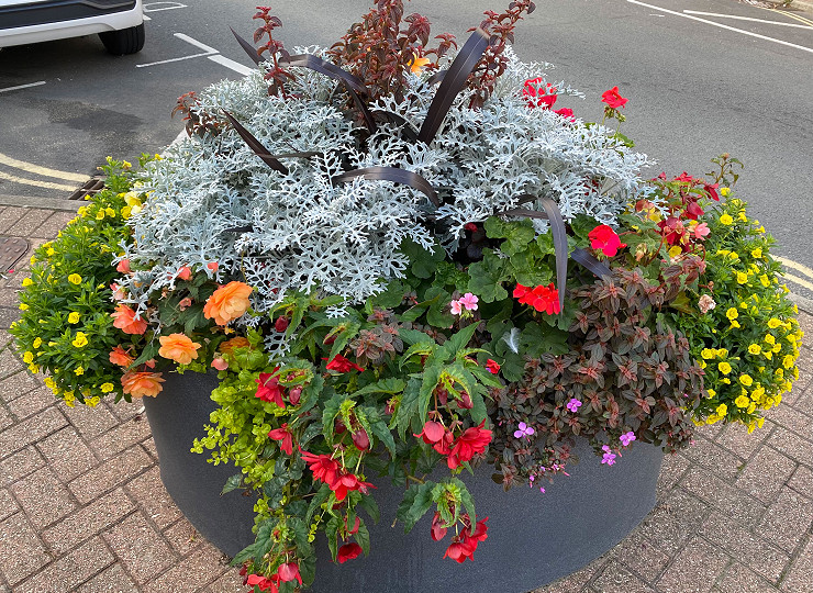 Winners of Amberol’s photo competition announced