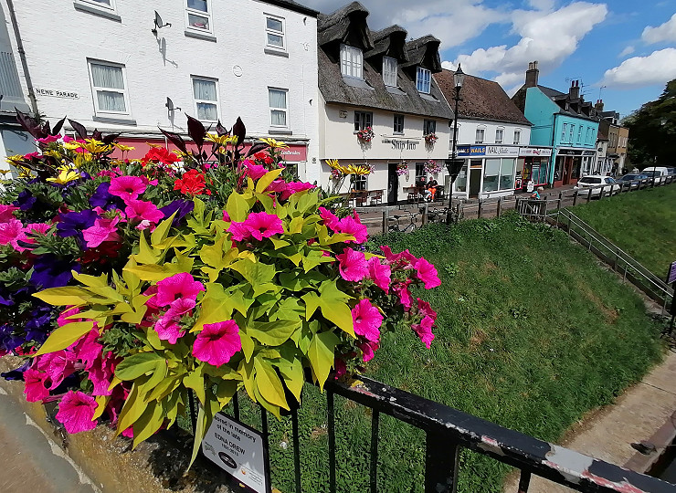 Amberol customers are busy bees gearing up for a bloomin’ great summer