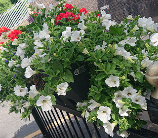 Photos showcase spring and summer 2022 as competition winner announced