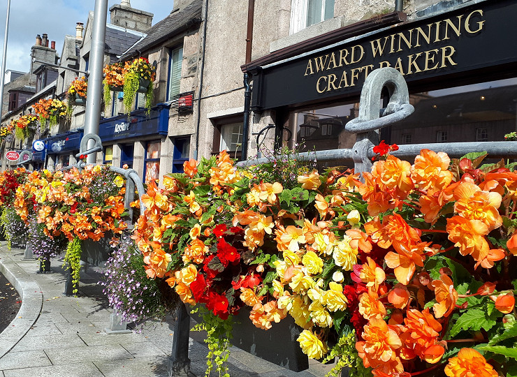 Vote now for your favourite Amberol photo