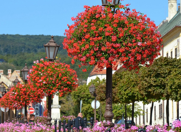 Announcing the winner of Amberol’s December photo competition