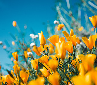 Win £1000 of Amberol products with Clerks and Councils magazine