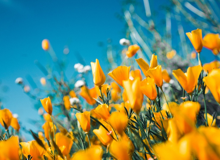 Win £1000 of Amberol products with Clerks and Councils magazine