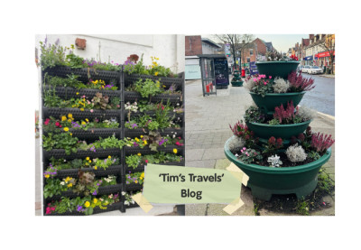 'Tim’s Travels' blog … Stepping out of spring